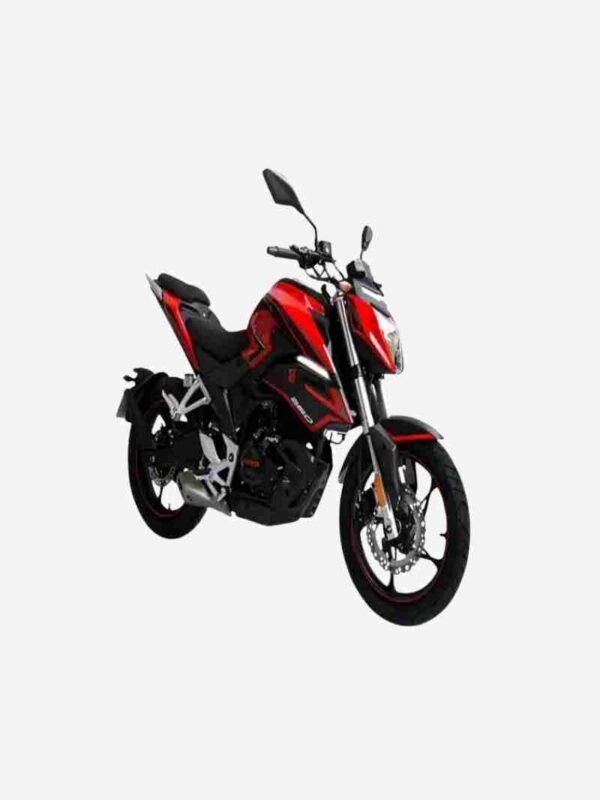 Niki 250 Haojue